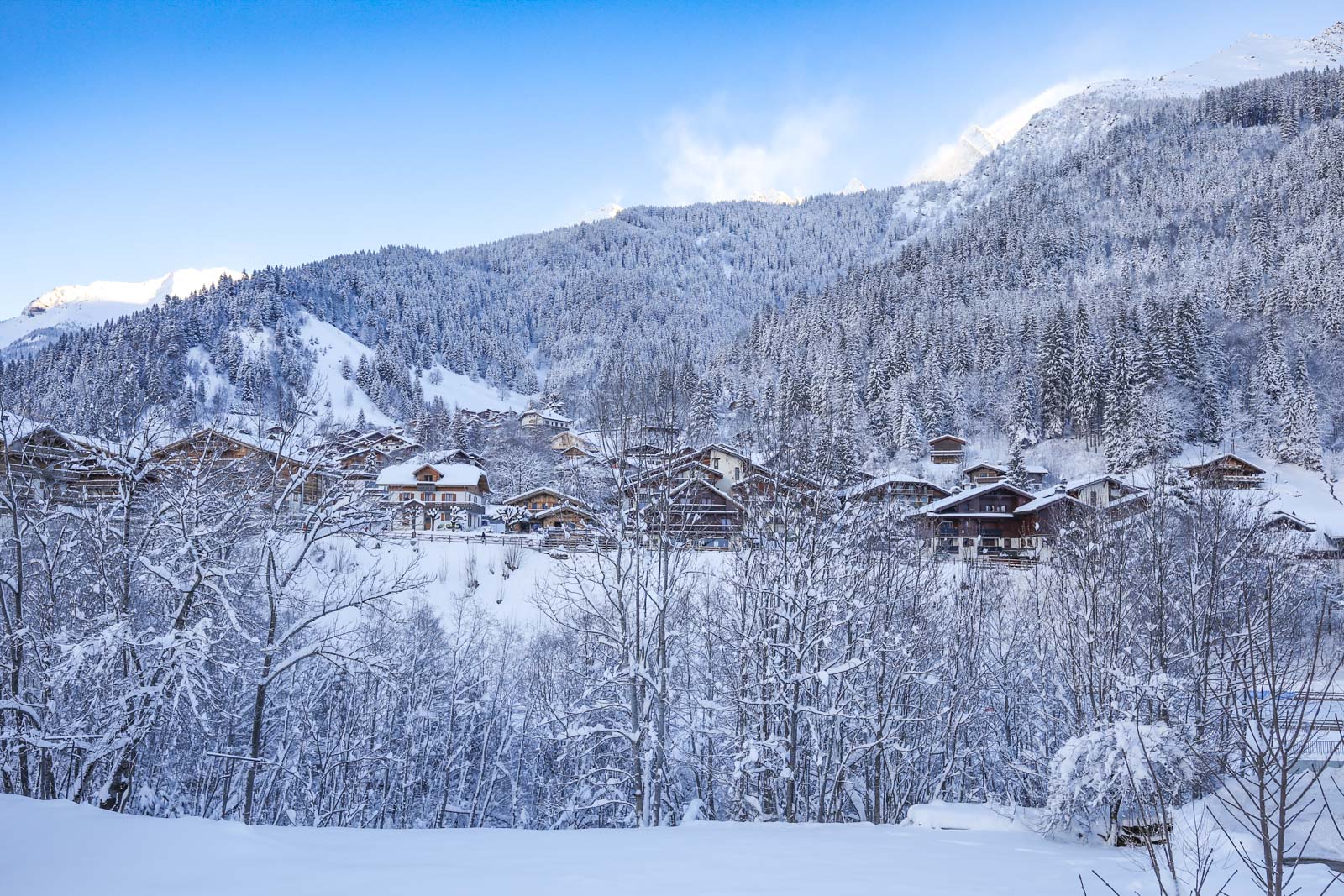 A snowy village :-)  